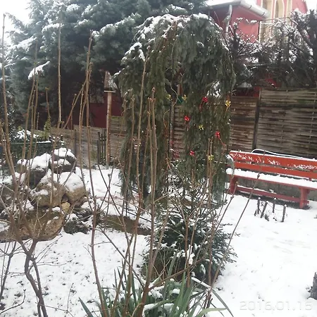 Legányi *